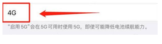 静安苹果13维修分享iPhone 13恒定4G设置方法 